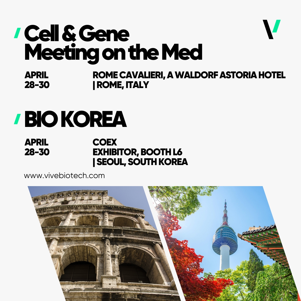 VIVEbiotech Begins a Global Week of Cell and Gene Therapy Engagement Tomorrow