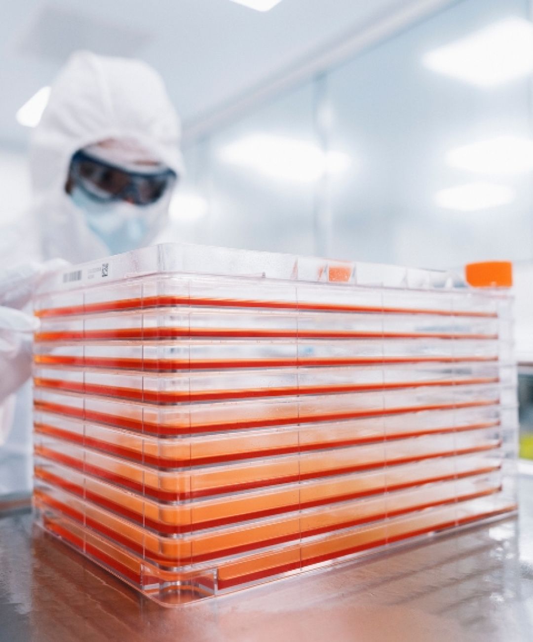 Cell stack