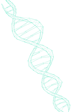 ADN