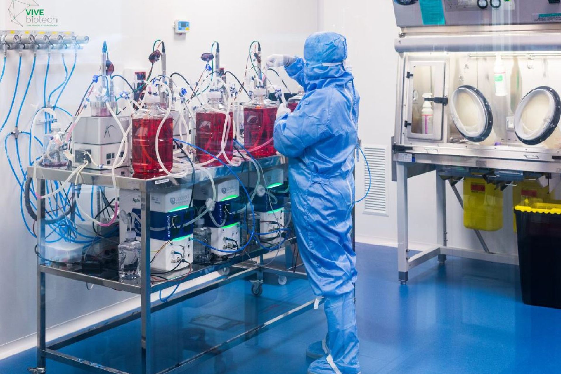 VIVEbiotech makes a capital increase of 3.5 million euros to complete its expansion plan
