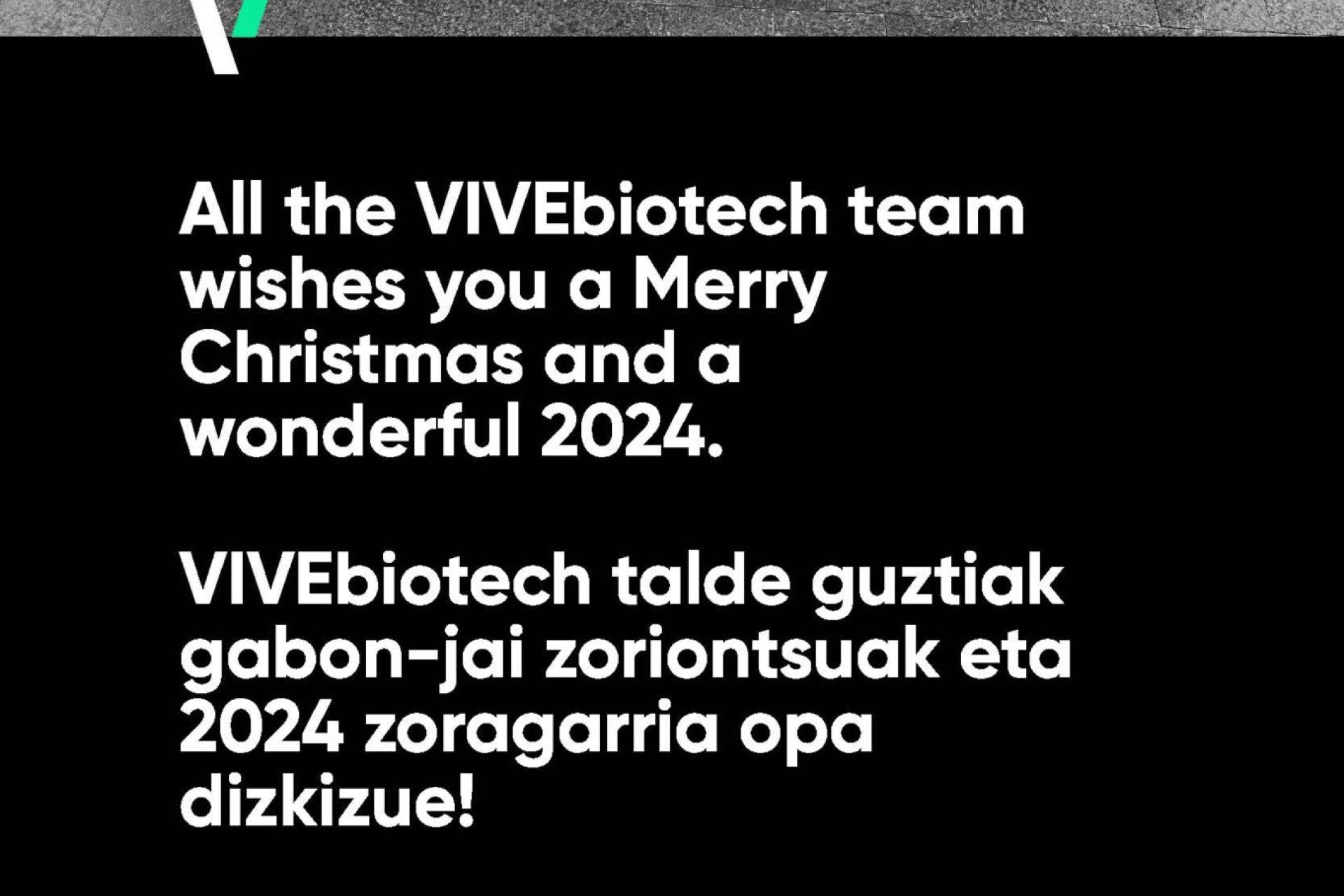 All the VIVEbiotech team wishes you a Merry Christmas and a wonderful 2024