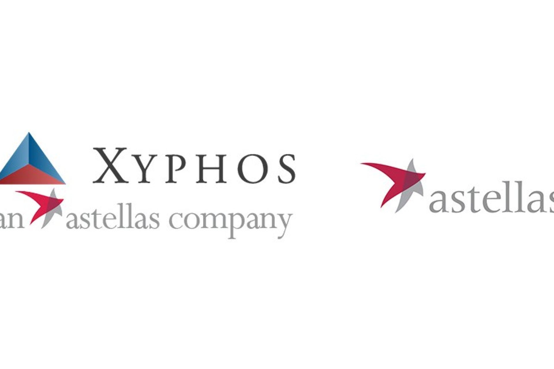 VIVEbiotech collaborates with Xyphos Biosciences