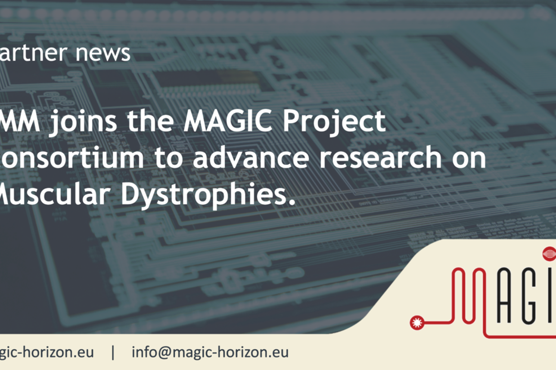 iMM se une al consorcio MAGIC para avanzar en la investigación de las distrofias musculares