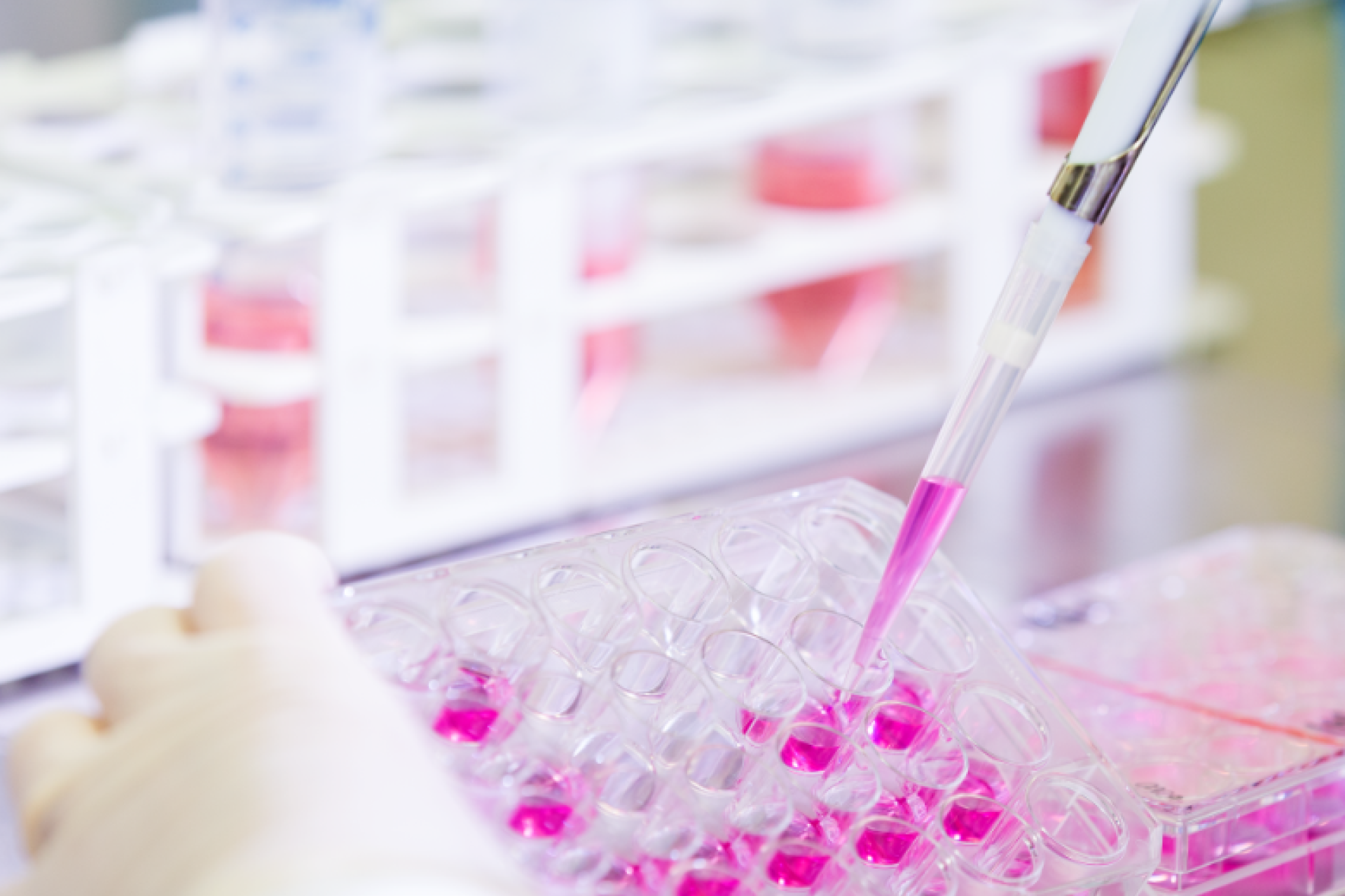 Authorization to manufacture investigational medicinal products